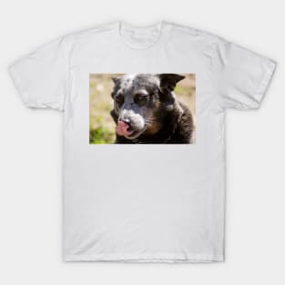 dlb tongue T-Shirt